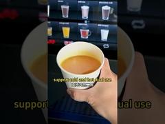 Einführung von EVOACAS Protein-Automaten